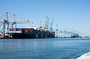 Maasvlakte (Rotterdam) #3; Europahaven, MSC